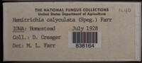 Image Associated With the Occurence